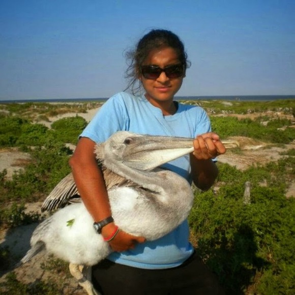 Meet your Posher, Jaya - Picture 1 of 1